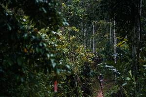 BIB: 
                            <button type="button" onclick="openModal(26239419)" class="btn btn-primary btn-sm float-right btn-popup" data-toggle="modal" data-target=".modal-high-quality">
                        <i class="fas fa-shopping-cart"></i> Add to Cart
                    </button>
                                            <button type="button" onclick="isThisMe(26239419, true)" class="btn btn-success btn-sm float-right btn-popup btn-isme hidden" data-toggle="tooltip" data-placement="bottom" title="นี่คือรูปของคุณใช่ไหม คลิกที่นี่เพื่อเอาเข้าอัลบั้ม">
                        <i class="fas fa-plus"></i> Add to album
                    </button>
                    <button type="button" onclick="isThisMe(26239419, false)" class="btn btn-warning btn-sm float-right btn-popup btn-isnotme hidden">
                        <i class="fas fa-ban"></i> Remove from album
                    </button>