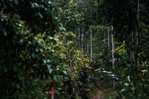 BIB: 
                            <button type="button" onclick="openModal(26239291)" class="btn btn-primary btn-sm float-right btn-popup" data-toggle="modal" data-target=".modal-high-quality">
                        <i class="fas fa-shopping-cart"></i> Add to Cart
                    </button>
                                            <button type="button" onclick="isThisMe(26239291, true)" class="btn btn-success btn-sm float-right btn-popup btn-isme hidden" data-toggle="tooltip" data-placement="bottom" title="นี่คือรูปของคุณใช่ไหม คลิกที่นี่เพื่อเอาเข้าอัลบั้ม">
                        <i class="fas fa-plus"></i> Add to album
                    </button>
                    <button type="button" onclick="isThisMe(26239291, false)" class="btn btn-warning btn-sm float-right btn-popup btn-isnotme hidden">
                        <i class="fas fa-ban"></i> Remove from album
                    </button>