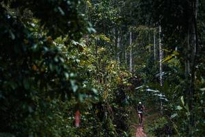 BIB: 
                            <button type="button" onclick="openModal(26239421)" class="btn btn-primary btn-sm float-right btn-popup" data-toggle="modal" data-target=".modal-high-quality">
                        <i class="fas fa-shopping-cart"></i> Add to Cart
                    </button>
                                            <button type="button" onclick="isThisMe(26239421, true)" class="btn btn-success btn-sm float-right btn-popup btn-isme hidden" data-toggle="tooltip" data-placement="bottom" title="นี่คือรูปของคุณใช่ไหม คลิกที่นี่เพื่อเอาเข้าอัลบั้ม">
                        <i class="fas fa-plus"></i> Add to album
                    </button>
                    <button type="button" onclick="isThisMe(26239421, false)" class="btn btn-warning btn-sm float-right btn-popup btn-isnotme hidden">
                        <i class="fas fa-ban"></i> Remove from album
                    </button>