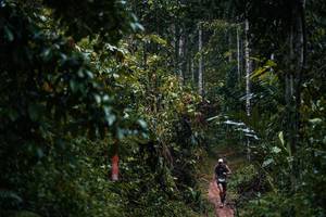 BIB: 
                            <button type="button" onclick="openModal(26239575)" class="btn btn-primary btn-sm float-right btn-popup" data-toggle="modal" data-target=".modal-high-quality">
                        <i class="fas fa-shopping-cart"></i> Add to Cart
                    </button>
                                            <button type="button" onclick="isThisMe(26239575, true)" class="btn btn-success btn-sm float-right btn-popup btn-isme hidden" data-toggle="tooltip" data-placement="bottom" title="นี่คือรูปของคุณใช่ไหม คลิกที่นี่เพื่อเอาเข้าอัลบั้ม">
                        <i class="fas fa-plus"></i> Add to album
                    </button>
                    <button type="button" onclick="isThisMe(26239575, false)" class="btn btn-warning btn-sm float-right btn-popup btn-isnotme hidden">
                        <i class="fas fa-ban"></i> Remove from album
                    </button>