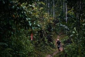 BIB: 
                            <button type="button" onclick="openModal(26239685)" class="btn btn-primary btn-sm float-right btn-popup" data-toggle="modal" data-target=".modal-high-quality">
                        <i class="fas fa-shopping-cart"></i> Add to Cart
                    </button>
                                            <button type="button" onclick="isThisMe(26239685, true)" class="btn btn-success btn-sm float-right btn-popup btn-isme hidden" data-toggle="tooltip" data-placement="bottom" title="นี่คือรูปของคุณใช่ไหม คลิกที่นี่เพื่อเอาเข้าอัลบั้ม">
                        <i class="fas fa-plus"></i> Add to album
                    </button>
                    <button type="button" onclick="isThisMe(26239685, false)" class="btn btn-warning btn-sm float-right btn-popup btn-isnotme hidden">
                        <i class="fas fa-ban"></i> Remove from album
                    </button>