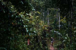 BIB: 
                            <button type="button" onclick="openModal(26239519)" class="btn btn-primary btn-sm float-right btn-popup" data-toggle="modal" data-target=".modal-high-quality">
                        <i class="fas fa-shopping-cart"></i> Add to Cart
                    </button>
                                            <button type="button" onclick="isThisMe(26239519, true)" class="btn btn-success btn-sm float-right btn-popup btn-isme hidden" data-toggle="tooltip" data-placement="bottom" title="นี่คือรูปของคุณใช่ไหม คลิกที่นี่เพื่อเอาเข้าอัลบั้ม">
                        <i class="fas fa-plus"></i> Add to album
                    </button>
                    <button type="button" onclick="isThisMe(26239519, false)" class="btn btn-warning btn-sm float-right btn-popup btn-isnotme hidden">
                        <i class="fas fa-ban"></i> Remove from album
                    </button>