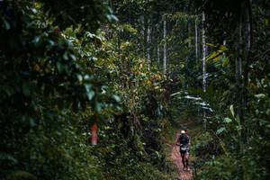 BIB: 
                            <button type="button" onclick="openModal(26239586)" class="btn btn-primary btn-sm float-right btn-popup" data-toggle="modal" data-target=".modal-high-quality">
                        <i class="fas fa-shopping-cart"></i> Add to Cart
                    </button>
                                            <button type="button" onclick="isThisMe(26239586, true)" class="btn btn-success btn-sm float-right btn-popup btn-isme hidden" data-toggle="tooltip" data-placement="bottom" title="นี่คือรูปของคุณใช่ไหม คลิกที่นี่เพื่อเอาเข้าอัลบั้ม">
                        <i class="fas fa-plus"></i> Add to album
                    </button>
                    <button type="button" onclick="isThisMe(26239586, false)" class="btn btn-warning btn-sm float-right btn-popup btn-isnotme hidden">
                        <i class="fas fa-ban"></i> Remove from album
                    </button>