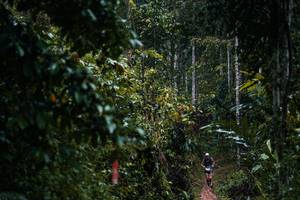 BIB: 
                            <button type="button" onclick="openModal(26239422)" class="btn btn-primary btn-sm float-right btn-popup" data-toggle="modal" data-target=".modal-high-quality">
                        <i class="fas fa-shopping-cart"></i> Add to Cart
                    </button>
                                            <button type="button" onclick="isThisMe(26239422, true)" class="btn btn-success btn-sm float-right btn-popup btn-isme hidden" data-toggle="tooltip" data-placement="bottom" title="นี่คือรูปของคุณใช่ไหม คลิกที่นี่เพื่อเอาเข้าอัลบั้ม">
                        <i class="fas fa-plus"></i> Add to album
                    </button>
                    <button type="button" onclick="isThisMe(26239422, false)" class="btn btn-warning btn-sm float-right btn-popup btn-isnotme hidden">
                        <i class="fas fa-ban"></i> Remove from album
                    </button>