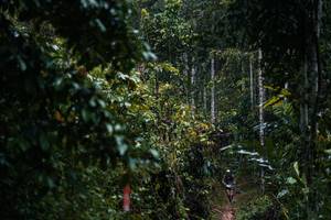 BIB: 
                            <button type="button" onclick="openModal(26239416)" class="btn btn-primary btn-sm float-right btn-popup" data-toggle="modal" data-target=".modal-high-quality">
                        <i class="fas fa-shopping-cart"></i> Add to Cart
                    </button>
                                            <button type="button" onclick="isThisMe(26239416, true)" class="btn btn-success btn-sm float-right btn-popup btn-isme hidden" data-toggle="tooltip" data-placement="bottom" title="นี่คือรูปของคุณใช่ไหม คลิกที่นี่เพื่อเอาเข้าอัลบั้ม">
                        <i class="fas fa-plus"></i> Add to album
                    </button>
                    <button type="button" onclick="isThisMe(26239416, false)" class="btn btn-warning btn-sm float-right btn-popup btn-isnotme hidden">
                        <i class="fas fa-ban"></i> Remove from album
                    </button>