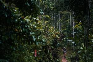 BIB: 
                            <button type="button" onclick="openModal(26239425)" class="btn btn-primary btn-sm float-right btn-popup" data-toggle="modal" data-target=".modal-high-quality">
                        <i class="fas fa-shopping-cart"></i> Add to Cart
                    </button>
                                            <button type="button" onclick="isThisMe(26239425, true)" class="btn btn-success btn-sm float-right btn-popup btn-isme hidden" data-toggle="tooltip" data-placement="bottom" title="นี่คือรูปของคุณใช่ไหม คลิกที่นี่เพื่อเอาเข้าอัลบั้ม">
                        <i class="fas fa-plus"></i> Add to album
                    </button>
                    <button type="button" onclick="isThisMe(26239425, false)" class="btn btn-warning btn-sm float-right btn-popup btn-isnotme hidden">
                        <i class="fas fa-ban"></i> Remove from album
                    </button>