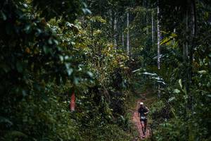 BIB: 
                            <button type="button" onclick="openModal(26239668)" class="btn btn-primary btn-sm float-right btn-popup" data-toggle="modal" data-target=".modal-high-quality">
                        <i class="fas fa-shopping-cart"></i> Add to Cart
                    </button>
                                            <button type="button" onclick="isThisMe(26239668, true)" class="btn btn-success btn-sm float-right btn-popup btn-isme hidden" data-toggle="tooltip" data-placement="bottom" title="นี่คือรูปของคุณใช่ไหม คลิกที่นี่เพื่อเอาเข้าอัลบั้ม">
                        <i class="fas fa-plus"></i> Add to album
                    </button>
                    <button type="button" onclick="isThisMe(26239668, false)" class="btn btn-warning btn-sm float-right btn-popup btn-isnotme hidden">
                        <i class="fas fa-ban"></i> Remove from album
                    </button>