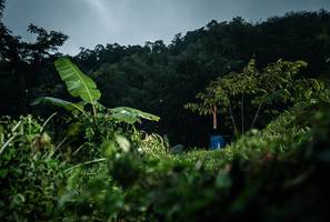 BIB: 
                            <button type="button" onclick="openModal(26243228)" class="btn btn-primary btn-sm float-right btn-popup" data-toggle="modal" data-target=".modal-high-quality">
                        <i class="fas fa-shopping-cart"></i> Add to Cart
                    </button>
                                            <button type="button" onclick="isThisMe(26243228, true)" class="btn btn-success btn-sm float-right btn-popup btn-isme hidden" data-toggle="tooltip" data-placement="bottom" title="นี่คือรูปของคุณใช่ไหม คลิกที่นี่เพื่อเอาเข้าอัลบั้ม">
                        <i class="fas fa-plus"></i> Add to album
                    </button>
                    <button type="button" onclick="isThisMe(26243228, false)" class="btn btn-warning btn-sm float-right btn-popup btn-isnotme hidden">
                        <i class="fas fa-ban"></i> Remove from album
                    </button>