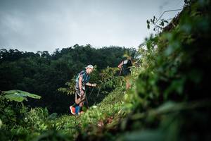 BIB: 
                            <button type="button" onclick="openModal(26241269)" class="btn btn-primary btn-sm float-right btn-popup" data-toggle="modal" data-target=".modal-high-quality">
                        <i class="fas fa-shopping-cart"></i> Add to Cart
                    </button>
                                            <button type="button" onclick="isThisMe(26241269, true)" class="btn btn-success btn-sm float-right btn-popup btn-isme hidden" data-toggle="tooltip" data-placement="bottom" title="นี่คือรูปของคุณใช่ไหม คลิกที่นี่เพื่อเอาเข้าอัลบั้ม">
                        <i class="fas fa-plus"></i> Add to album
                    </button>
                    <button type="button" onclick="isThisMe(26241269, false)" class="btn btn-warning btn-sm float-right btn-popup btn-isnotme hidden">
                        <i class="fas fa-ban"></i> Remove from album
                    </button>