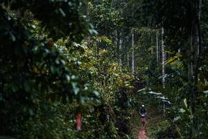 BIB: 
                            <button type="button" onclick="openModal(26239418)" class="btn btn-primary btn-sm float-right btn-popup" data-toggle="modal" data-target=".modal-high-quality">
                        <i class="fas fa-shopping-cart"></i> Add to Cart
                    </button>
                                            <button type="button" onclick="isThisMe(26239418, true)" class="btn btn-success btn-sm float-right btn-popup btn-isme hidden" data-toggle="tooltip" data-placement="bottom" title="นี่คือรูปของคุณใช่ไหม คลิกที่นี่เพื่อเอาเข้าอัลบั้ม">
                        <i class="fas fa-plus"></i> Add to album
                    </button>
                    <button type="button" onclick="isThisMe(26239418, false)" class="btn btn-warning btn-sm float-right btn-popup btn-isnotme hidden">
                        <i class="fas fa-ban"></i> Remove from album
                    </button>