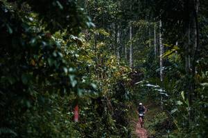 BIB: 
                            <button type="button" onclick="openModal(26239543)" class="btn btn-primary btn-sm float-right btn-popup" data-toggle="modal" data-target=".modal-high-quality">
                        <i class="fas fa-shopping-cart"></i> Add to Cart
                    </button>
                                            <button type="button" onclick="isThisMe(26239543, true)" class="btn btn-success btn-sm float-right btn-popup btn-isme hidden" data-toggle="tooltip" data-placement="bottom" title="นี่คือรูปของคุณใช่ไหม คลิกที่นี่เพื่อเอาเข้าอัลบั้ม">
                        <i class="fas fa-plus"></i> Add to album
                    </button>
                    <button type="button" onclick="isThisMe(26239543, false)" class="btn btn-warning btn-sm float-right btn-popup btn-isnotme hidden">
                        <i class="fas fa-ban"></i> Remove from album
                    </button>