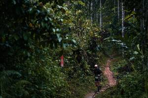 BIB: 
                            <button type="button" onclick="openModal(26239780)" class="btn btn-primary btn-sm float-right btn-popup" data-toggle="modal" data-target=".modal-high-quality">
                        <i class="fas fa-shopping-cart"></i> Add to Cart
                    </button>
                                            <button type="button" onclick="isThisMe(26239780, true)" class="btn btn-success btn-sm float-right btn-popup btn-isme hidden" data-toggle="tooltip" data-placement="bottom" title="นี่คือรูปของคุณใช่ไหม คลิกที่นี่เพื่อเอาเข้าอัลบั้ม">
                        <i class="fas fa-plus"></i> Add to album
                    </button>
                    <button type="button" onclick="isThisMe(26239780, false)" class="btn btn-warning btn-sm float-right btn-popup btn-isnotme hidden">
                        <i class="fas fa-ban"></i> Remove from album
                    </button>