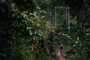 BIB: 
                            <button type="button" onclick="openModal(26239573)" class="btn btn-primary btn-sm float-right btn-popup" data-toggle="modal" data-target=".modal-high-quality">
                        <i class="fas fa-shopping-cart"></i> Add to Cart
                    </button>
                                            <button type="button" onclick="isThisMe(26239573, true)" class="btn btn-success btn-sm float-right btn-popup btn-isme hidden" data-toggle="tooltip" data-placement="bottom" title="นี่คือรูปของคุณใช่ไหม คลิกที่นี่เพื่อเอาเข้าอัลบั้ม">
                        <i class="fas fa-plus"></i> Add to album
                    </button>
                    <button type="button" onclick="isThisMe(26239573, false)" class="btn btn-warning btn-sm float-right btn-popup btn-isnotme hidden">
                        <i class="fas fa-ban"></i> Remove from album
                    </button>