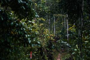 BIB: 
                            <button type="button" onclick="openModal(26239406)" class="btn btn-primary btn-sm float-right btn-popup" data-toggle="modal" data-target=".modal-high-quality">
                        <i class="fas fa-shopping-cart"></i> Add to Cart
                    </button>
                                            <button type="button" onclick="isThisMe(26239406, true)" class="btn btn-success btn-sm float-right btn-popup btn-isme hidden" data-toggle="tooltip" data-placement="bottom" title="นี่คือรูปของคุณใช่ไหม คลิกที่นี่เพื่อเอาเข้าอัลบั้ม">
                        <i class="fas fa-plus"></i> Add to album
                    </button>
                    <button type="button" onclick="isThisMe(26239406, false)" class="btn btn-warning btn-sm float-right btn-popup btn-isnotme hidden">
                        <i class="fas fa-ban"></i> Remove from album
                    </button>