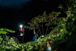 BIB: 
                            <button type="button" onclick="openModal(26251236)" class="btn btn-primary btn-sm float-right btn-popup" data-toggle="modal" data-target=".modal-high-quality">
                        <i class="fas fa-shopping-cart"></i> Add to Cart
                    </button>
                                            <button type="button" onclick="isThisMe(26251236, true)" class="btn btn-success btn-sm float-right btn-popup btn-isme hidden" data-toggle="tooltip" data-placement="bottom" title="นี่คือรูปของคุณใช่ไหม คลิกที่นี่เพื่อเอาเข้าอัลบั้ม">
                        <i class="fas fa-plus"></i> Add to album
                    </button>
                    <button type="button" onclick="isThisMe(26251236, false)" class="btn btn-warning btn-sm float-right btn-popup btn-isnotme hidden">
                        <i class="fas fa-ban"></i> Remove from album
                    </button>