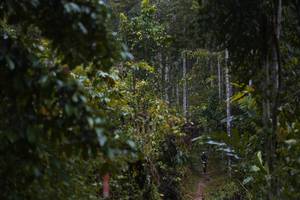 BIB: 
                            <button type="button" onclick="openModal(26239287)" class="btn btn-primary btn-sm float-right btn-popup" data-toggle="modal" data-target=".modal-high-quality">
                        <i class="fas fa-shopping-cart"></i> Add to Cart
                    </button>
                                            <button type="button" onclick="isThisMe(26239287, true)" class="btn btn-success btn-sm float-right btn-popup btn-isme hidden" data-toggle="tooltip" data-placement="bottom" title="นี่คือรูปของคุณใช่ไหม คลิกที่นี่เพื่อเอาเข้าอัลบั้ม">
                        <i class="fas fa-plus"></i> Add to album
                    </button>
                    <button type="button" onclick="isThisMe(26239287, false)" class="btn btn-warning btn-sm float-right btn-popup btn-isnotme hidden">
                        <i class="fas fa-ban"></i> Remove from album
                    </button>