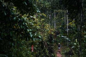 BIB: 
                            <button type="button" onclick="openModal(26239453)" class="btn btn-primary btn-sm float-right btn-popup" data-toggle="modal" data-target=".modal-high-quality">
                        <i class="fas fa-shopping-cart"></i> Add to Cart
                    </button>
                                            <button type="button" onclick="isThisMe(26239453, true)" class="btn btn-success btn-sm float-right btn-popup btn-isme hidden" data-toggle="tooltip" data-placement="bottom" title="นี่คือรูปของคุณใช่ไหม คลิกที่นี่เพื่อเอาเข้าอัลบั้ม">
                        <i class="fas fa-plus"></i> Add to album
                    </button>
                    <button type="button" onclick="isThisMe(26239453, false)" class="btn btn-warning btn-sm float-right btn-popup btn-isnotme hidden">
                        <i class="fas fa-ban"></i> Remove from album
                    </button>