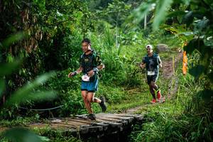 BIB: 
                            <button type="button" onclick="openModal(26200761)" class="btn btn-primary btn-sm float-right btn-popup" data-toggle="modal" data-target=".modal-high-quality">
                        <i class="fas fa-shopping-cart"></i> Add to Cart
                    </button>
                                            <button type="button" onclick="isThisMe(26200761, true)" class="btn btn-success btn-sm float-right btn-popup btn-isme hidden" data-toggle="tooltip" data-placement="bottom" title="นี่คือรูปของคุณใช่ไหม คลิกที่นี่เพื่อเอาเข้าอัลบั้ม">
                        <i class="fas fa-plus"></i> Add to album
                    </button>
                    <button type="button" onclick="isThisMe(26200761, false)" class="btn btn-warning btn-sm float-right btn-popup btn-isnotme hidden">
                        <i class="fas fa-ban"></i> Remove from album
                    </button>