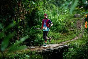 BIB: 
                            <button type="button" onclick="openModal(26200746)" class="btn btn-primary btn-sm float-right btn-popup" data-toggle="modal" data-target=".modal-high-quality">
                        <i class="fas fa-shopping-cart"></i> Add to Cart
                    </button>
                                            <button type="button" onclick="isThisMe(26200746, true)" class="btn btn-success btn-sm float-right btn-popup btn-isme hidden" data-toggle="tooltip" data-placement="bottom" title="นี่คือรูปของคุณใช่ไหม คลิกที่นี่เพื่อเอาเข้าอัลบั้ม">
                        <i class="fas fa-plus"></i> Add to album
                    </button>
                    <button type="button" onclick="isThisMe(26200746, false)" class="btn btn-warning btn-sm float-right btn-popup btn-isnotme hidden">
                        <i class="fas fa-ban"></i> Remove from album
                    </button>