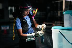 BIB: 
                            <button type="button" onclick="openModal(26280380)" class="btn btn-primary btn-sm float-right btn-popup" data-toggle="modal" data-target=".modal-high-quality">
                        <i class="fas fa-shopping-cart"></i> Add to Cart
                    </button>
                                            <button type="button" onclick="isThisMe(26280380, true)" class="btn btn-success btn-sm float-right btn-popup btn-isme hidden" data-toggle="tooltip" data-placement="bottom" title="นี่คือรูปของคุณใช่ไหม คลิกที่นี่เพื่อเอาเข้าอัลบั้ม">
                        <i class="fas fa-plus"></i> Add to album
                    </button>
                    <button type="button" onclick="isThisMe(26280380, false)" class="btn btn-warning btn-sm float-right btn-popup btn-isnotme hidden">
                        <i class="fas fa-ban"></i> Remove from album
                    </button>