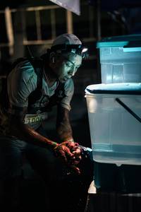 BIB: 
                            <button type="button" onclick="openModal(26280412)" class="btn btn-primary btn-sm float-right btn-popup" data-toggle="modal" data-target=".modal-high-quality">
                        <i class="fas fa-shopping-cart"></i> Add to Cart
                    </button>
                                            <button type="button" onclick="isThisMe(26280412, true)" class="btn btn-success btn-sm float-right btn-popup btn-isme hidden" data-toggle="tooltip" data-placement="bottom" title="นี่คือรูปของคุณใช่ไหม คลิกที่นี่เพื่อเอาเข้าอัลบั้ม">
                        <i class="fas fa-plus"></i> Add to album
                    </button>
                    <button type="button" onclick="isThisMe(26280412, false)" class="btn btn-warning btn-sm float-right btn-popup btn-isnotme hidden">
                        <i class="fas fa-ban"></i> Remove from album
                    </button>