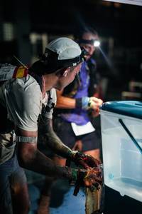 BIB: 
                            <button type="button" onclick="openModal(26280401)" class="btn btn-primary btn-sm float-right btn-popup" data-toggle="modal" data-target=".modal-high-quality">
                        <i class="fas fa-shopping-cart"></i> Add to Cart
                    </button>
                                            <button type="button" onclick="isThisMe(26280401, true)" class="btn btn-success btn-sm float-right btn-popup btn-isme hidden" data-toggle="tooltip" data-placement="bottom" title="นี่คือรูปของคุณใช่ไหม คลิกที่นี่เพื่อเอาเข้าอัลบั้ม">
                        <i class="fas fa-plus"></i> Add to album
                    </button>
                    <button type="button" onclick="isThisMe(26280401, false)" class="btn btn-warning btn-sm float-right btn-popup btn-isnotme hidden">
                        <i class="fas fa-ban"></i> Remove from album
                    </button>