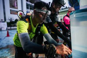 BIB: 
                            <button type="button" onclick="openModal(26310313)" class="btn btn-primary btn-sm float-right btn-popup" data-toggle="modal" data-target=".modal-high-quality">
                        <i class="fas fa-shopping-cart"></i> Add to Cart
                    </button>
                                            <button type="button" onclick="isThisMe(26310313, true)" class="btn btn-success btn-sm float-right btn-popup btn-isme hidden" data-toggle="tooltip" data-placement="bottom" title="นี่คือรูปของคุณใช่ไหม คลิกที่นี่เพื่อเอาเข้าอัลบั้ม">
                        <i class="fas fa-plus"></i> Add to album
                    </button>
                    <button type="button" onclick="isThisMe(26310313, false)" class="btn btn-warning btn-sm float-right btn-popup btn-isnotme hidden">
                        <i class="fas fa-ban"></i> Remove from album
                    </button>