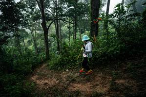 BIB: 
                            <button type="button" onclick="openModal(26205975)" class="btn btn-primary btn-sm float-right btn-popup" data-toggle="modal" data-target=".modal-high-quality">
                        <i class="fas fa-shopping-cart"></i> Add to Cart
                    </button>
                                            <button type="button" onclick="isThisMe(26205975, true)" class="btn btn-success btn-sm float-right btn-popup btn-isme hidden" data-toggle="tooltip" data-placement="bottom" title="นี่คือรูปของคุณใช่ไหม คลิกที่นี่เพื่อเอาเข้าอัลบั้ม">
                        <i class="fas fa-plus"></i> Add to album
                    </button>
                    <button type="button" onclick="isThisMe(26205975, false)" class="btn btn-warning btn-sm float-right btn-popup btn-isnotme hidden">
                        <i class="fas fa-ban"></i> Remove from album
                    </button>