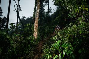 BIB: 
                            <button type="button" onclick="openModal(26205692)" class="btn btn-primary btn-sm float-right btn-popup" data-toggle="modal" data-target=".modal-high-quality">
                        <i class="fas fa-shopping-cart"></i> Add to Cart
                    </button>
                                            <button type="button" onclick="isThisMe(26205692, true)" class="btn btn-success btn-sm float-right btn-popup btn-isme hidden" data-toggle="tooltip" data-placement="bottom" title="นี่คือรูปของคุณใช่ไหม คลิกที่นี่เพื่อเอาเข้าอัลบั้ม">
                        <i class="fas fa-plus"></i> Add to album
                    </button>
                    <button type="button" onclick="isThisMe(26205692, false)" class="btn btn-warning btn-sm float-right btn-popup btn-isnotme hidden">
                        <i class="fas fa-ban"></i> Remove from album
                    </button>