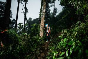 BIB: 
                            <button type="button" onclick="openModal(26205683)" class="btn btn-primary btn-sm float-right btn-popup" data-toggle="modal" data-target=".modal-high-quality">
                        <i class="fas fa-shopping-cart"></i> Add to Cart
                    </button>
                                            <button type="button" onclick="isThisMe(26205683, true)" class="btn btn-success btn-sm float-right btn-popup btn-isme hidden" data-toggle="tooltip" data-placement="bottom" title="นี่คือรูปของคุณใช่ไหม คลิกที่นี่เพื่อเอาเข้าอัลบั้ม">
                        <i class="fas fa-plus"></i> Add to album
                    </button>
                    <button type="button" onclick="isThisMe(26205683, false)" class="btn btn-warning btn-sm float-right btn-popup btn-isnotme hidden">
                        <i class="fas fa-ban"></i> Remove from album
                    </button>