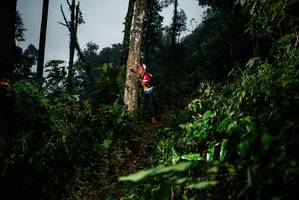 BIB: 
                            <button type="button" onclick="openModal(26204786)" class="btn btn-primary btn-sm float-right btn-popup" data-toggle="modal" data-target=".modal-high-quality">
                        <i class="fas fa-shopping-cart"></i> Add to Cart
                    </button>
                                            <button type="button" onclick="isThisMe(26204786, true)" class="btn btn-success btn-sm float-right btn-popup btn-isme hidden" data-toggle="tooltip" data-placement="bottom" title="นี่คือรูปของคุณใช่ไหม คลิกที่นี่เพื่อเอาเข้าอัลบั้ม">
                        <i class="fas fa-plus"></i> Add to album
                    </button>
                    <button type="button" onclick="isThisMe(26204786, false)" class="btn btn-warning btn-sm float-right btn-popup btn-isnotme hidden">
                        <i class="fas fa-ban"></i> Remove from album
                    </button>