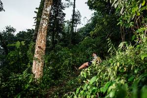 BIB: 
                            <button type="button" onclick="openModal(26202652)" class="btn btn-primary btn-sm float-right btn-popup" data-toggle="modal" data-target=".modal-high-quality">
                        <i class="fas fa-shopping-cart"></i> Add to Cart
                    </button>
                                            <button type="button" onclick="isThisMe(26202652, true)" class="btn btn-success btn-sm float-right btn-popup btn-isme hidden" data-toggle="tooltip" data-placement="bottom" title="นี่คือรูปของคุณใช่ไหม คลิกที่นี่เพื่อเอาเข้าอัลบั้ม">
                        <i class="fas fa-plus"></i> Add to album
                    </button>
                    <button type="button" onclick="isThisMe(26202652, false)" class="btn btn-warning btn-sm float-right btn-popup btn-isnotme hidden">
                        <i class="fas fa-ban"></i> Remove from album
                    </button>