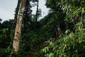 BIB: 
                            <button type="button" onclick="openModal(26203175)" class="btn btn-primary btn-sm float-right btn-popup" data-toggle="modal" data-target=".modal-high-quality">
                        <i class="fas fa-shopping-cart"></i> Add to Cart
                    </button>
                                            <button type="button" onclick="isThisMe(26203175, true)" class="btn btn-success btn-sm float-right btn-popup btn-isme hidden" data-toggle="tooltip" data-placement="bottom" title="นี่คือรูปของคุณใช่ไหม คลิกที่นี่เพื่อเอาเข้าอัลบั้ม">
                        <i class="fas fa-plus"></i> Add to album
                    </button>
                    <button type="button" onclick="isThisMe(26203175, false)" class="btn btn-warning btn-sm float-right btn-popup btn-isnotme hidden">
                        <i class="fas fa-ban"></i> Remove from album
                    </button>