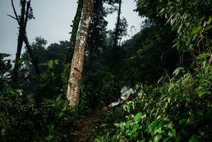 BIB: 
                            <button type="button" onclick="openModal(26204744)" class="btn btn-primary btn-sm float-right btn-popup" data-toggle="modal" data-target=".modal-high-quality">
                        <i class="fas fa-shopping-cart"></i> Add to Cart
                    </button>
                                            <button type="button" onclick="isThisMe(26204744, true)" class="btn btn-success btn-sm float-right btn-popup btn-isme hidden" data-toggle="tooltip" data-placement="bottom" title="นี่คือรูปของคุณใช่ไหม คลิกที่นี่เพื่อเอาเข้าอัลบั้ม">
                        <i class="fas fa-plus"></i> Add to album
                    </button>
                    <button type="button" onclick="isThisMe(26204744, false)" class="btn btn-warning btn-sm float-right btn-popup btn-isnotme hidden">
                        <i class="fas fa-ban"></i> Remove from album
                    </button>