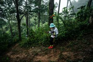 BIB: 
                            <button type="button" onclick="openModal(26205966)" class="btn btn-primary btn-sm float-right btn-popup" data-toggle="modal" data-target=".modal-high-quality">
                        <i class="fas fa-shopping-cart"></i> Add to Cart
                    </button>
                                            <button type="button" onclick="isThisMe(26205966, true)" class="btn btn-success btn-sm float-right btn-popup btn-isme hidden" data-toggle="tooltip" data-placement="bottom" title="นี่คือรูปของคุณใช่ไหม คลิกที่นี่เพื่อเอาเข้าอัลบั้ม">
                        <i class="fas fa-plus"></i> Add to album
                    </button>
                    <button type="button" onclick="isThisMe(26205966, false)" class="btn btn-warning btn-sm float-right btn-popup btn-isnotme hidden">
                        <i class="fas fa-ban"></i> Remove from album
                    </button>