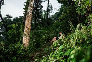 BIB: 
                            <button type="button" onclick="openModal(26202668)" class="btn btn-primary btn-sm float-right btn-popup" data-toggle="modal" data-target=".modal-high-quality">
                        <i class="fas fa-shopping-cart"></i> Add to Cart
                    </button>
                                            <button type="button" onclick="isThisMe(26202668, true)" class="btn btn-success btn-sm float-right btn-popup btn-isme hidden" data-toggle="tooltip" data-placement="bottom" title="นี่คือรูปของคุณใช่ไหม คลิกที่นี่เพื่อเอาเข้าอัลบั้ม">
                        <i class="fas fa-plus"></i> Add to album
                    </button>
                    <button type="button" onclick="isThisMe(26202668, false)" class="btn btn-warning btn-sm float-right btn-popup btn-isnotme hidden">
                        <i class="fas fa-ban"></i> Remove from album
                    </button>