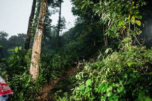 BIB: 
                            <button type="button" onclick="openModal(26205608)" class="btn btn-primary btn-sm float-right btn-popup" data-toggle="modal" data-target=".modal-high-quality">
                        <i class="fas fa-shopping-cart"></i> Add to Cart
                    </button>
                                            <button type="button" onclick="isThisMe(26205608, true)" class="btn btn-success btn-sm float-right btn-popup btn-isme hidden" data-toggle="tooltip" data-placement="bottom" title="นี่คือรูปของคุณใช่ไหม คลิกที่นี่เพื่อเอาเข้าอัลบั้ม">
                        <i class="fas fa-plus"></i> Add to album
                    </button>
                    <button type="button" onclick="isThisMe(26205608, false)" class="btn btn-warning btn-sm float-right btn-popup btn-isnotme hidden">
                        <i class="fas fa-ban"></i> Remove from album
                    </button>