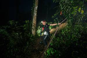 BIB: 
                            <button type="button" onclick="openModal(26374742)" class="btn btn-primary btn-sm float-right btn-popup" data-toggle="modal" data-target=".modal-high-quality">
                        <i class="fas fa-shopping-cart"></i> Add to Cart
                    </button>
                                            <button type="button" onclick="isThisMe(26374742, true)" class="btn btn-success btn-sm float-right btn-popup btn-isme hidden" data-toggle="tooltip" data-placement="bottom" title="นี่คือรูปของคุณใช่ไหม คลิกที่นี่เพื่อเอาเข้าอัลบั้ม">
                        <i class="fas fa-plus"></i> Add to album
                    </button>
                    <button type="button" onclick="isThisMe(26374742, false)" class="btn btn-warning btn-sm float-right btn-popup btn-isnotme hidden">
                        <i class="fas fa-ban"></i> Remove from album
                    </button>