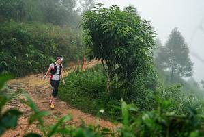 BIB: 
                            <button type="button" onclick="openModal(26381646)" class="btn btn-primary btn-sm float-right btn-popup" data-toggle="modal" data-target=".modal-high-quality">
                        <i class="fas fa-shopping-cart"></i> Add to Cart
                    </button>
                                            <button type="button" onclick="isThisMe(26381646, true)" class="btn btn-success btn-sm float-right btn-popup btn-isme hidden" data-toggle="tooltip" data-placement="bottom" title="นี่คือรูปของคุณใช่ไหม คลิกที่นี่เพื่อเอาเข้าอัลบั้ม">
                        <i class="fas fa-plus"></i> Add to album
                    </button>
                    <button type="button" onclick="isThisMe(26381646, false)" class="btn btn-warning btn-sm float-right btn-popup btn-isnotme hidden">
                        <i class="fas fa-ban"></i> Remove from album
                    </button>