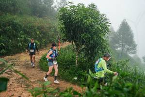 BIB: 
                            <button type="button" onclick="openModal(26383846)" class="btn btn-primary btn-sm float-right btn-popup" data-toggle="modal" data-target=".modal-high-quality">
                        <i class="fas fa-shopping-cart"></i> Add to Cart
                    </button>
                                            <button type="button" onclick="isThisMe(26383846, true)" class="btn btn-success btn-sm float-right btn-popup btn-isme hidden" data-toggle="tooltip" data-placement="bottom" title="นี่คือรูปของคุณใช่ไหม คลิกที่นี่เพื่อเอาเข้าอัลบั้ม">
                        <i class="fas fa-plus"></i> Add to album
                    </button>
                    <button type="button" onclick="isThisMe(26383846, false)" class="btn btn-warning btn-sm float-right btn-popup btn-isnotme hidden">
                        <i class="fas fa-ban"></i> Remove from album
                    </button>