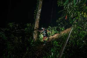 BIB: 
                            <button type="button" onclick="openModal(26372274)" class="btn btn-primary btn-sm float-right btn-popup" data-toggle="modal" data-target=".modal-high-quality">
                        <i class="fas fa-shopping-cart"></i> Add to Cart
                    </button>
                                            <button type="button" onclick="isThisMe(26372274, true)" class="btn btn-success btn-sm float-right btn-popup btn-isme hidden" data-toggle="tooltip" data-placement="bottom" title="นี่คือรูปของคุณใช่ไหม คลิกที่นี่เพื่อเอาเข้าอัลบั้ม">
                        <i class="fas fa-plus"></i> Add to album
                    </button>
                    <button type="button" onclick="isThisMe(26372274, false)" class="btn btn-warning btn-sm float-right btn-popup btn-isnotme hidden">
                        <i class="fas fa-ban"></i> Remove from album
                    </button>