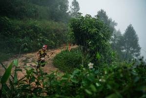 BIB: 
                            <button type="button" onclick="openModal(26378897)" class="btn btn-primary btn-sm float-right btn-popup" data-toggle="modal" data-target=".modal-high-quality">
                        <i class="fas fa-shopping-cart"></i> Add to Cart
                    </button>
                                            <button type="button" onclick="isThisMe(26378897, true)" class="btn btn-success btn-sm float-right btn-popup btn-isme hidden" data-toggle="tooltip" data-placement="bottom" title="นี่คือรูปของคุณใช่ไหม คลิกที่นี่เพื่อเอาเข้าอัลบั้ม">
                        <i class="fas fa-plus"></i> Add to album
                    </button>
                    <button type="button" onclick="isThisMe(26378897, false)" class="btn btn-warning btn-sm float-right btn-popup btn-isnotme hidden">
                        <i class="fas fa-ban"></i> Remove from album
                    </button>