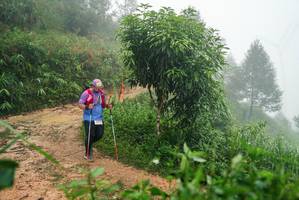 BIB: 
                            <button type="button" onclick="openModal(26384544)" class="btn btn-primary btn-sm float-right btn-popup" data-toggle="modal" data-target=".modal-high-quality">
                        <i class="fas fa-shopping-cart"></i> Add to Cart
                    </button>
                                            <button type="button" onclick="isThisMe(26384544, true)" class="btn btn-success btn-sm float-right btn-popup btn-isme hidden" data-toggle="tooltip" data-placement="bottom" title="นี่คือรูปของคุณใช่ไหม คลิกที่นี่เพื่อเอาเข้าอัลบั้ม">
                        <i class="fas fa-plus"></i> Add to album
                    </button>
                    <button type="button" onclick="isThisMe(26384544, false)" class="btn btn-warning btn-sm float-right btn-popup btn-isnotme hidden">
                        <i class="fas fa-ban"></i> Remove from album
                    </button>