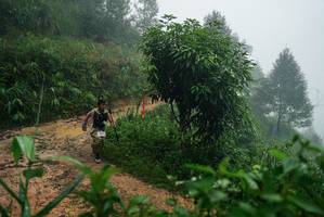 BIB: 
                            <button type="button" onclick="openModal(26380244)" class="btn btn-primary btn-sm float-right btn-popup" data-toggle="modal" data-target=".modal-high-quality">
                        <i class="fas fa-shopping-cart"></i> Add to Cart
                    </button>
                                            <button type="button" onclick="isThisMe(26380244, true)" class="btn btn-success btn-sm float-right btn-popup btn-isme hidden" data-toggle="tooltip" data-placement="bottom" title="นี่คือรูปของคุณใช่ไหม คลิกที่นี่เพื่อเอาเข้าอัลบั้ม">
                        <i class="fas fa-plus"></i> Add to album
                    </button>
                    <button type="button" onclick="isThisMe(26380244, false)" class="btn btn-warning btn-sm float-right btn-popup btn-isnotme hidden">
                        <i class="fas fa-ban"></i> Remove from album
                    </button>