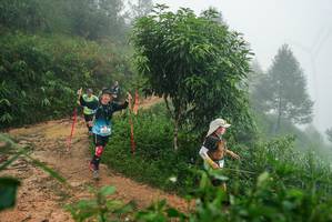 BIB: 
                            <button type="button" onclick="openModal(26383812)" class="btn btn-primary btn-sm float-right btn-popup" data-toggle="modal" data-target=".modal-high-quality">
                        <i class="fas fa-shopping-cart"></i> Add to Cart
                    </button>
                                            <button type="button" onclick="isThisMe(26383812, true)" class="btn btn-success btn-sm float-right btn-popup btn-isme hidden" data-toggle="tooltip" data-placement="bottom" title="นี่คือรูปของคุณใช่ไหม คลิกที่นี่เพื่อเอาเข้าอัลบั้ม">
                        <i class="fas fa-plus"></i> Add to album
                    </button>
                    <button type="button" onclick="isThisMe(26383812, false)" class="btn btn-warning btn-sm float-right btn-popup btn-isnotme hidden">
                        <i class="fas fa-ban"></i> Remove from album
                    </button>