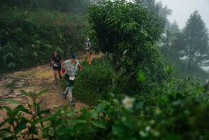 BIB: 
                            <button type="button" onclick="openModal(26378962)" class="btn btn-primary btn-sm float-right btn-popup" data-toggle="modal" data-target=".modal-high-quality">
                        <i class="fas fa-shopping-cart"></i> Add to Cart
                    </button>
                                            <button type="button" onclick="isThisMe(26378962, true)" class="btn btn-success btn-sm float-right btn-popup btn-isme hidden" data-toggle="tooltip" data-placement="bottom" title="นี่คือรูปของคุณใช่ไหม คลิกที่นี่เพื่อเอาเข้าอัลบั้ม">
                        <i class="fas fa-plus"></i> Add to album
                    </button>
                    <button type="button" onclick="isThisMe(26378962, false)" class="btn btn-warning btn-sm float-right btn-popup btn-isnotme hidden">
                        <i class="fas fa-ban"></i> Remove from album
                    </button>