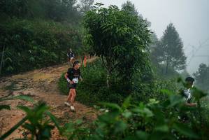 BIB: 
                            <button type="button" onclick="openModal(26379896)" class="btn btn-primary btn-sm float-right btn-popup" data-toggle="modal" data-target=".modal-high-quality">
                        <i class="fas fa-shopping-cart"></i> Add to Cart
                    </button>
                                            <button type="button" onclick="isThisMe(26379896, true)" class="btn btn-success btn-sm float-right btn-popup btn-isme hidden" data-toggle="tooltip" data-placement="bottom" title="นี่คือรูปของคุณใช่ไหม คลิกที่นี่เพื่อเอาเข้าอัลบั้ม">
                        <i class="fas fa-plus"></i> Add to album
                    </button>
                    <button type="button" onclick="isThisMe(26379896, false)" class="btn btn-warning btn-sm float-right btn-popup btn-isnotme hidden">
                        <i class="fas fa-ban"></i> Remove from album
                    </button>