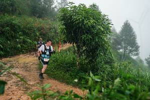 BIB: 
                            <button type="button" onclick="openModal(26382261)" class="btn btn-primary btn-sm float-right btn-popup" data-toggle="modal" data-target=".modal-high-quality">
                        <i class="fas fa-shopping-cart"></i> Add to Cart
                    </button>
                                            <button type="button" onclick="isThisMe(26382261, true)" class="btn btn-success btn-sm float-right btn-popup btn-isme hidden" data-toggle="tooltip" data-placement="bottom" title="นี่คือรูปของคุณใช่ไหม คลิกที่นี่เพื่อเอาเข้าอัลบั้ม">
                        <i class="fas fa-plus"></i> Add to album
                    </button>
                    <button type="button" onclick="isThisMe(26382261, false)" class="btn btn-warning btn-sm float-right btn-popup btn-isnotme hidden">
                        <i class="fas fa-ban"></i> Remove from album
                    </button>