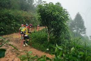 BIB: 
                            <button type="button" onclick="openModal(26383561)" class="btn btn-primary btn-sm float-right btn-popup" data-toggle="modal" data-target=".modal-high-quality">
                        <i class="fas fa-shopping-cart"></i> Add to Cart
                    </button>
                                            <button type="button" onclick="isThisMe(26383561, true)" class="btn btn-success btn-sm float-right btn-popup btn-isme hidden" data-toggle="tooltip" data-placement="bottom" title="นี่คือรูปของคุณใช่ไหม คลิกที่นี่เพื่อเอาเข้าอัลบั้ม">
                        <i class="fas fa-plus"></i> Add to album
                    </button>
                    <button type="button" onclick="isThisMe(26383561, false)" class="btn btn-warning btn-sm float-right btn-popup btn-isnotme hidden">
                        <i class="fas fa-ban"></i> Remove from album
                    </button>