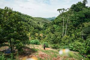 BIB: 
                            <button type="button" onclick="openModal(26389684)" class="btn btn-primary btn-sm float-right btn-popup" data-toggle="modal" data-target=".modal-high-quality">
                        <i class="fas fa-shopping-cart"></i> Add to Cart
                    </button>
                                            <button type="button" onclick="isThisMe(26389684, true)" class="btn btn-success btn-sm float-right btn-popup btn-isme hidden" data-toggle="tooltip" data-placement="bottom" title="นี่คือรูปของคุณใช่ไหม คลิกที่นี่เพื่อเอาเข้าอัลบั้ม">
                        <i class="fas fa-plus"></i> Add to album
                    </button>
                    <button type="button" onclick="isThisMe(26389684, false)" class="btn btn-warning btn-sm float-right btn-popup btn-isnotme hidden">
                        <i class="fas fa-ban"></i> Remove from album
                    </button>